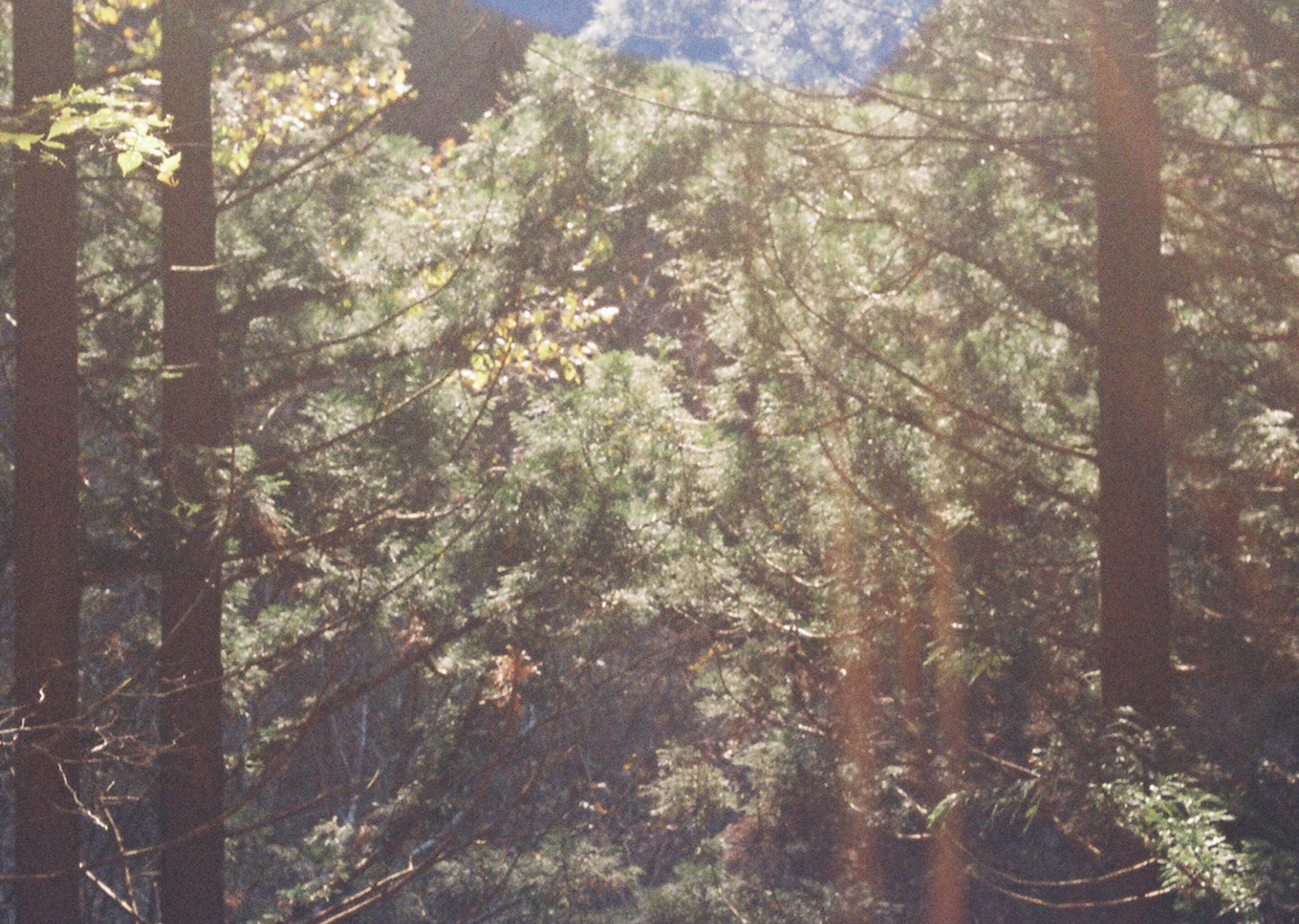 トップ メインビジュアル