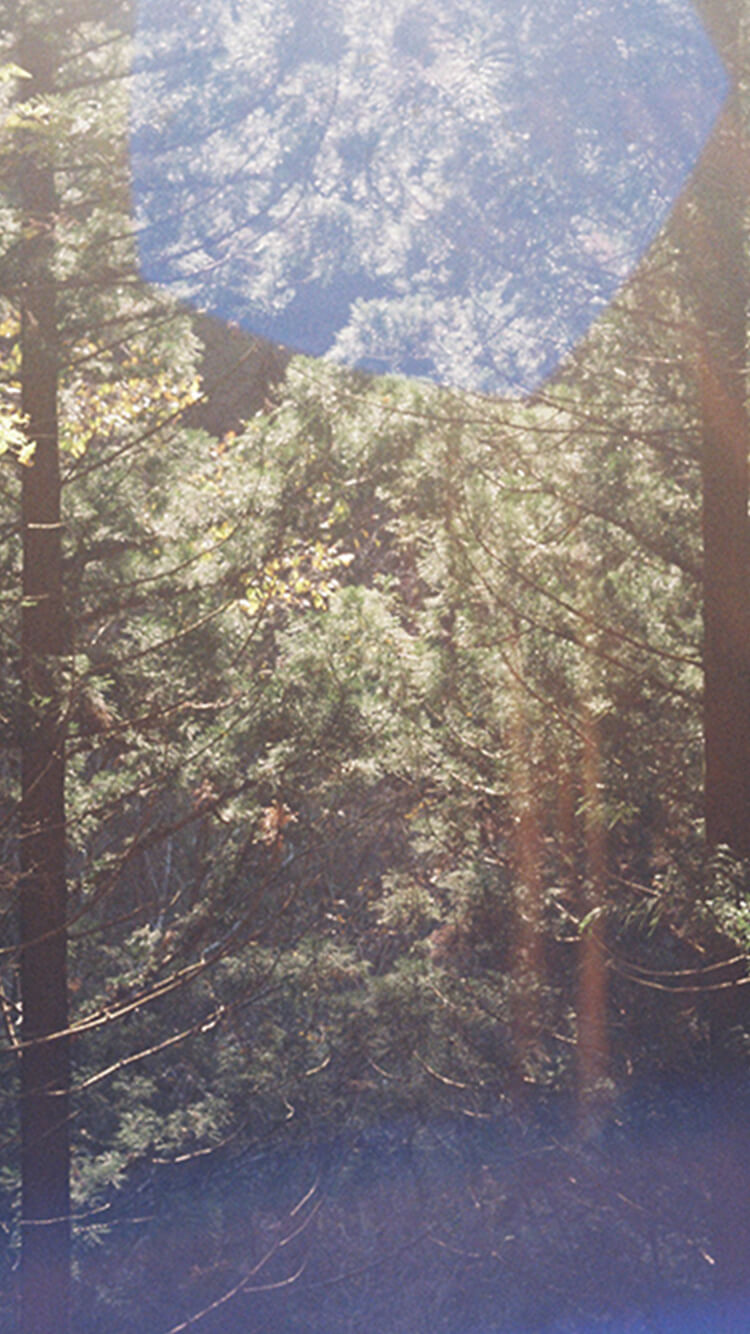 トップ メインビジュアル