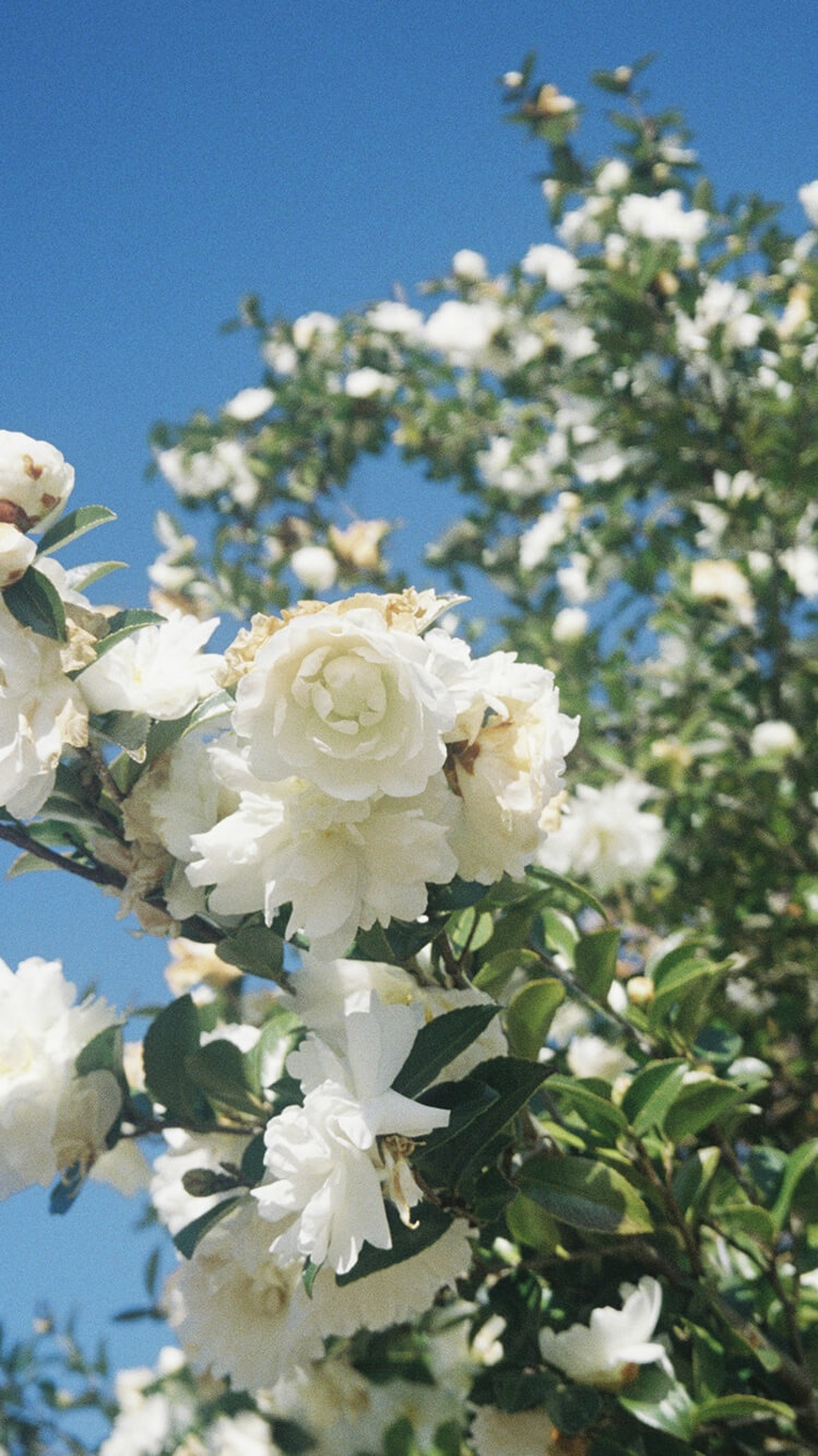 トップ メインビジュアル